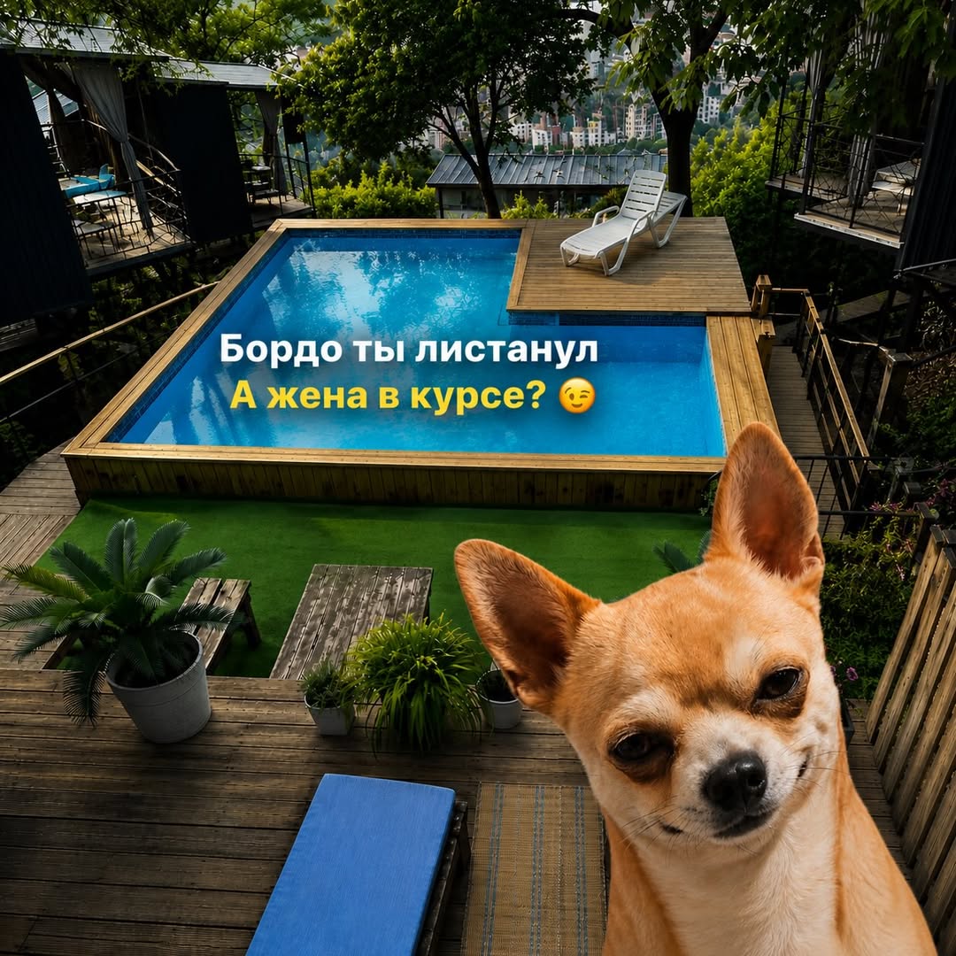 Отдых с питомцем в Sunset Tau